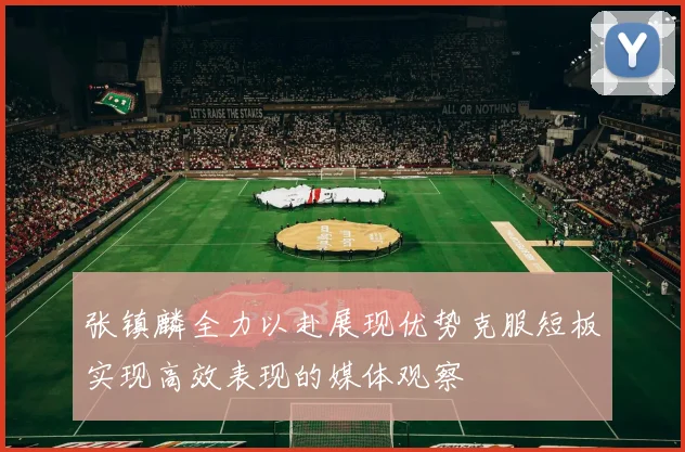 张镇麟全力以赴展现优势克服短板实现高效表现的媒体观察